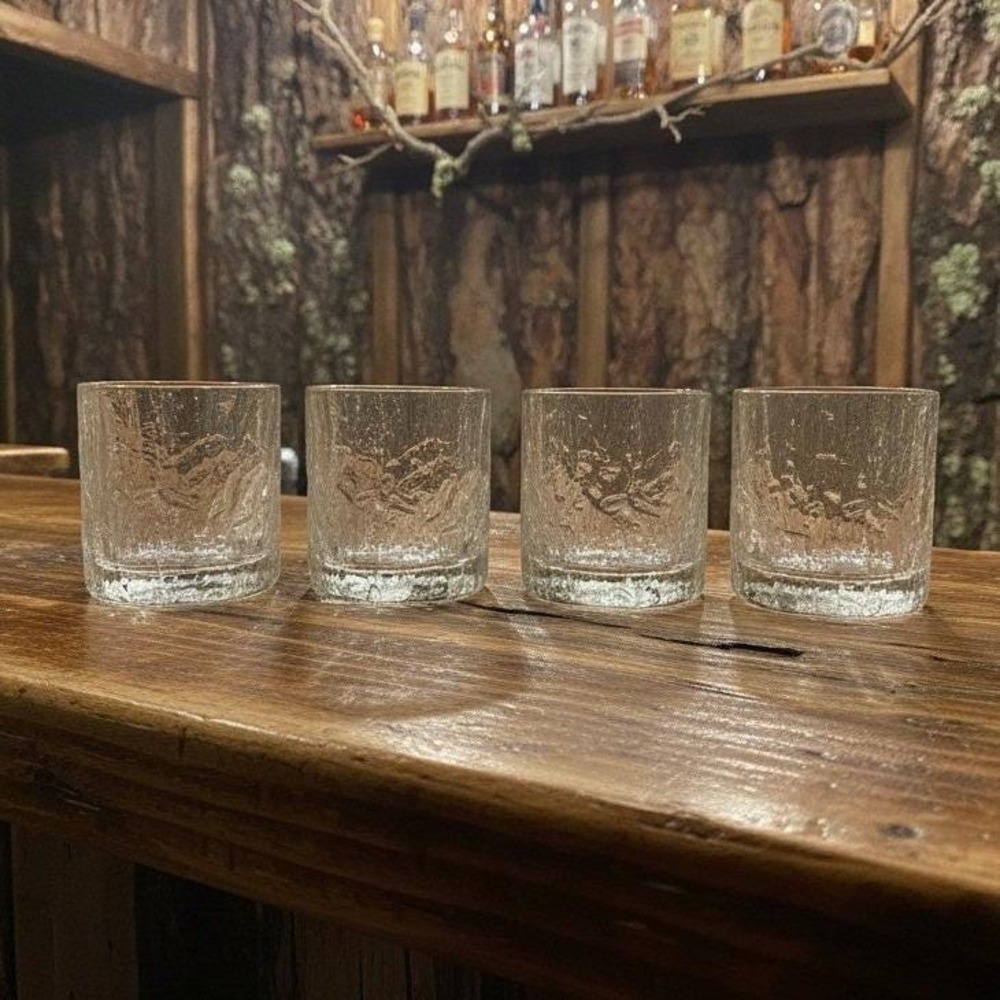 Hoya Glacier Ice Bark Crystal Rocks Glasses, Set of 4, Textured Lowball Tumblers